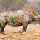 Illustration for article titled Conservation Nightmare: Rhinos Have Become Even More Attractive To Poachers After Evolving Skin Made Of Rare Mint-Condition Baseball Cards